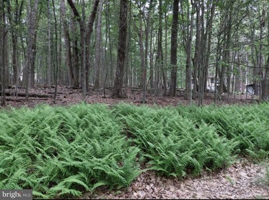 For sale is a surveyed and perc tested beautiful .8 acre lot in - photo 2