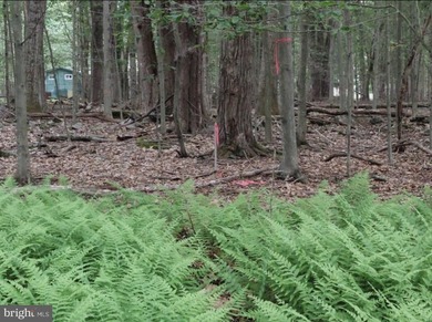 For sale is a surveyed and perc tested beautiful .8 acre lot in - photo 3