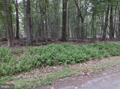 For sale is a surveyed and perc tested beautiful .8 acre lot in - photo 8