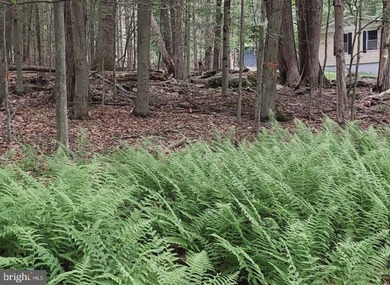 For sale is a surveyed and perc tested beautiful .8 acre lot in - photo 9
