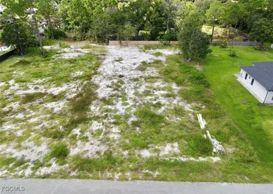 Lehigh Acres Area Lot For Sale in Lehigh Acres Florida
