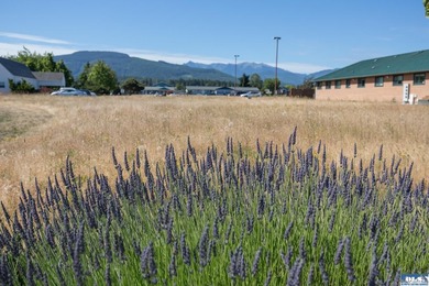 Sequim's Lifestyle District offers a great range of Health Care - photo 5
