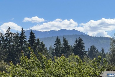Outstanding, sunny location in Parkwood! This home is situated - photo 7