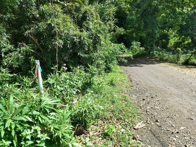 Build 2 homes on this generous sized corner lot just a short - photo 19