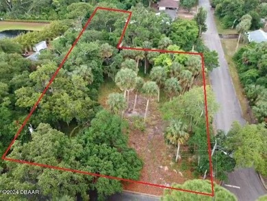 OVERSIZED LOT ALMOST 3/4 OF AN ACRE INCLUDING TWO PARCELS ON THE - photo 1