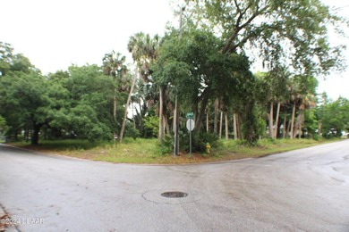 OVERSIZED LOT ALMOST 3/4 OF AN ACRE INCLUDING TWO PARCELS ON THE - photo 2