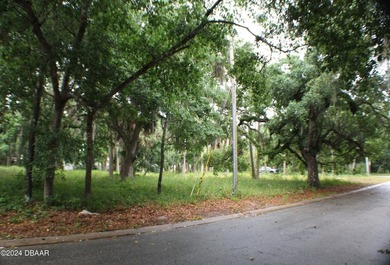 OVERSIZED LOT ALMOST 3/4 OF AN ACRE INCLUDING TWO PARCELS ON THE - photo 3
