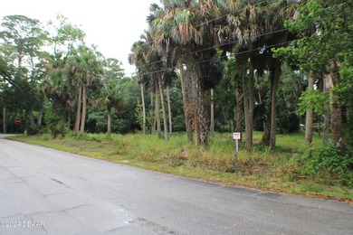 OVERSIZED LOT ALMOST 3/4 OF AN ACRE INCLUDING TWO PARCELS ON THE - photo 4