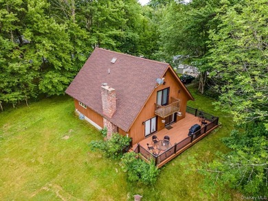 (private lake, pond, creek) Home For Sale in Liberty New York