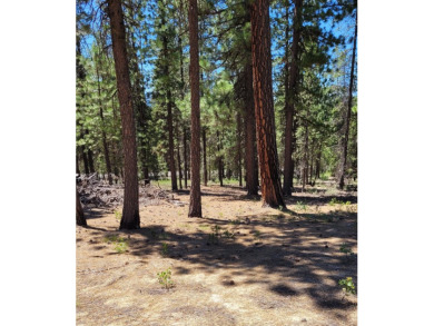 Crescent Lake - Klamath County Acreage For Sale in Crescent Lake Oregon
