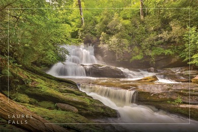 (private lake, pond, creek) Acreage For Sale in Glenville North Carolina