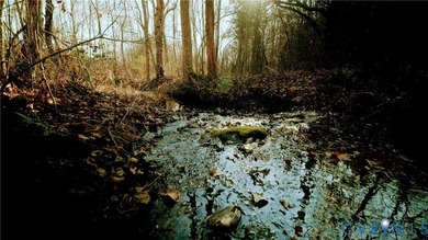 (private lake, pond, coastal) Acreage For Sale in New Canton Virginia