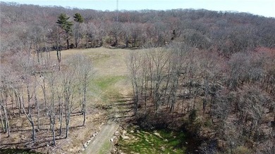 Rural Charm and Room to grow! This 35+ Acre Farmstead is ready - photo 8