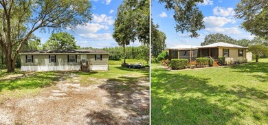 Lake Bessiola  Home For Sale in Ocklawaha Florida