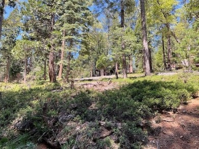 Fly In Acres Lake Lot For Sale in Arnold California