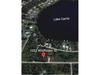 Lake Carrie Lot For Sale in Lake Placid Florida