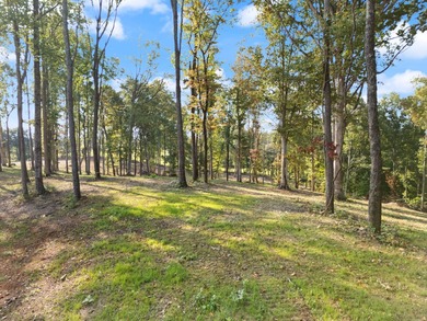 Lake Cumberland Lot Sale Pending in Albany Kentucky