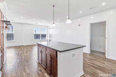 A rare 1,359 sq. ft. urban sanctuary! This luxury 3BR/2BA - photo 22