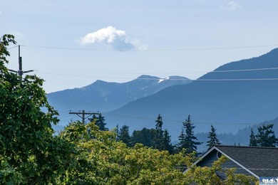 Set on the bluff above Port Angeles, 1623 W 5th Street pairs - photo 5