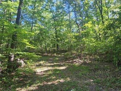 Hidden from the main road & tucked deep in the Ozark woods, but - photo 42