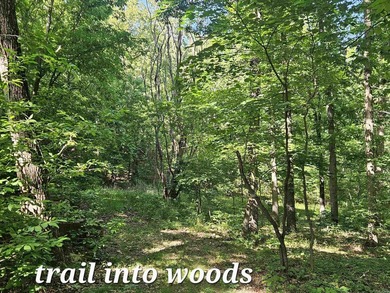 Hidden from the main road & tucked deep in the Ozark woods, but - photo 43