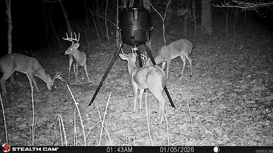Hidden from the main road & tucked deep in the Ozark woods, but - photo 44
