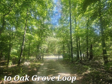Hidden from the main road & tucked deep in the Ozark woods, but - photo 45