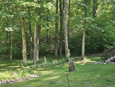 Hidden from the main road & tucked deep in the Ozark woods, but - photo 47