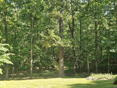 Hidden from the main road & tucked deep in the Ozark woods, but - photo 48