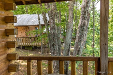 4 Cabins on roughly 2.5 acres adjoining the Warm Fork River and - photo 9