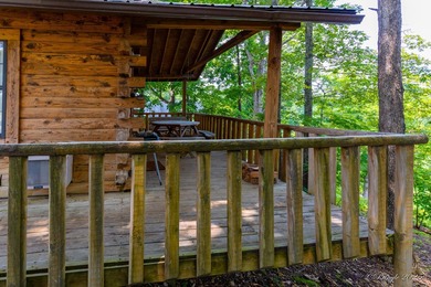 4 Cabins on roughly 2.5 acres adjoining the Warm Fork River and - photo 10