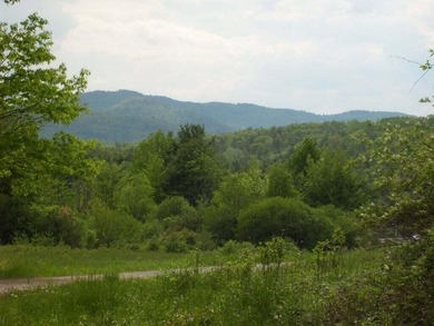 Lake Champlain - Essex County Acreage Sale Pending in Westport New York