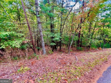 (private lake, pond, creek) Lot For Sale in Ellijay Georgia