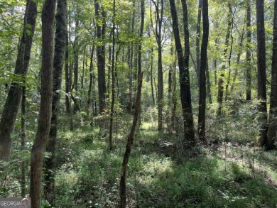 Lake Acreage For Sale in Tallapoosa, Georgia