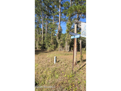 Own and old piece of Darien land! Could be rezoned for - photo 1