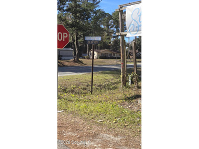 Own and old piece of Darien land! Could be rezoned for - photo 2