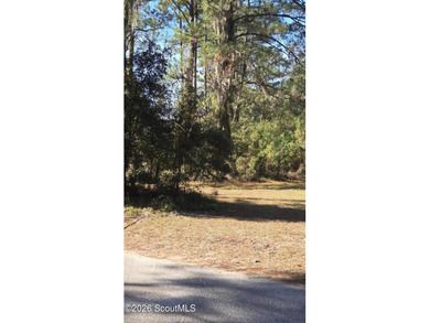 Own and old piece of Darien land! Could be rezoned for - photo 3
