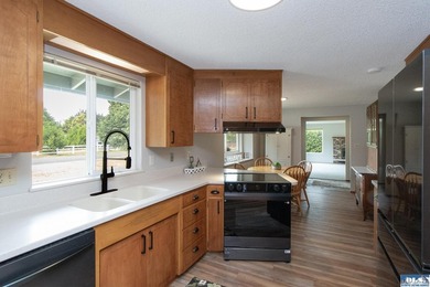 Move right into this beautifully remodeled 3 BR, 2 BA rambler - photo 10