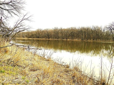 If you have a toolbox and a pontoon boat this is the opportunity - photo 8