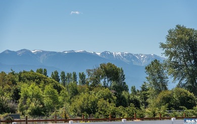 Panoramic Olympic Mountain views take center stage from this - photo 2