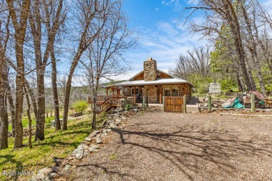 Lake Home For Sale in Stoneman Lake, Arizona