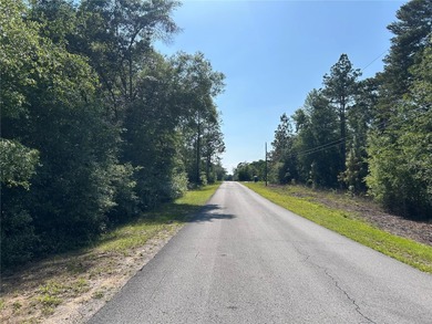 Bonable Lake Lot For Sale in Dunnellon Florida
