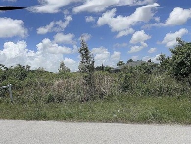 Great opportunity to purchase a lot in a great location off - photo 1