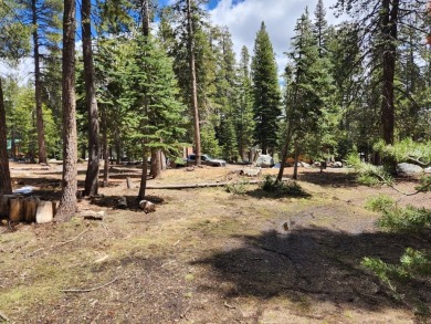 Lake Lot For Sale in Bear Valley, California