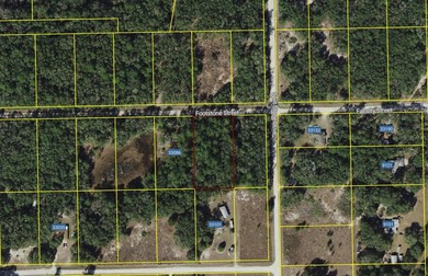 Withlacoochee River Lot For Sale in Webster Florida