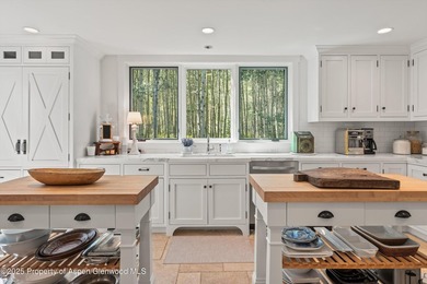 This is a true legacy property in Aspen checking all of the - photo 11