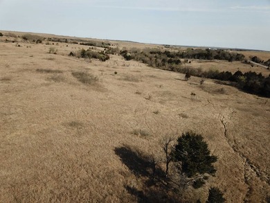 137.4 Acres of rolling native/mix pasture located just South of - photo 13
