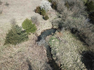 137.4 Acres of rolling native/mix pasture located just South of - photo 14