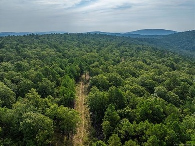Jackfork Ranch: A Hidden Gem for Visionary Development Located - photo 15