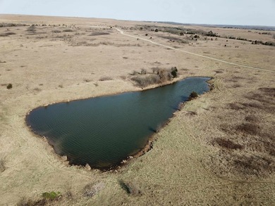 137.4 Acres of rolling native/mix pasture located just South of - photo 15